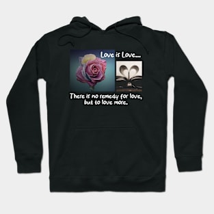 Love is Love.. There is no remedy for love, but to love more. Hoodie